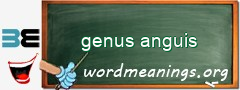 WordMeaning blackboard for genus anguis